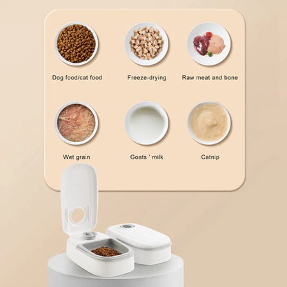 Automatic Smart Pet Food Dispenser