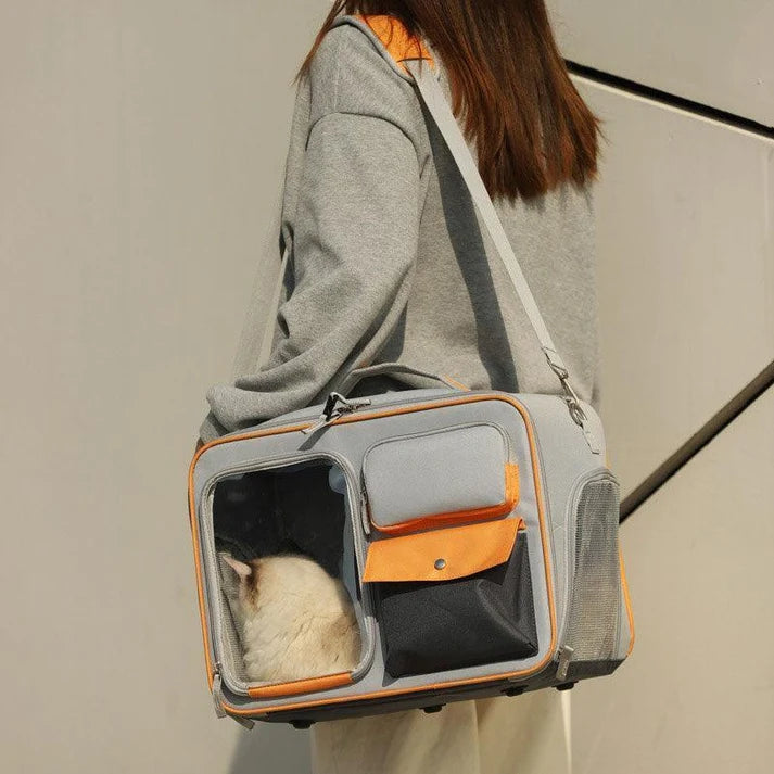 Anti-stress Pet Going Out Trolley Backpack